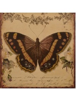 bord-vlinder