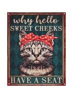 metalen_wandbord_why_hello_sweet_cheeks_have_a_seat